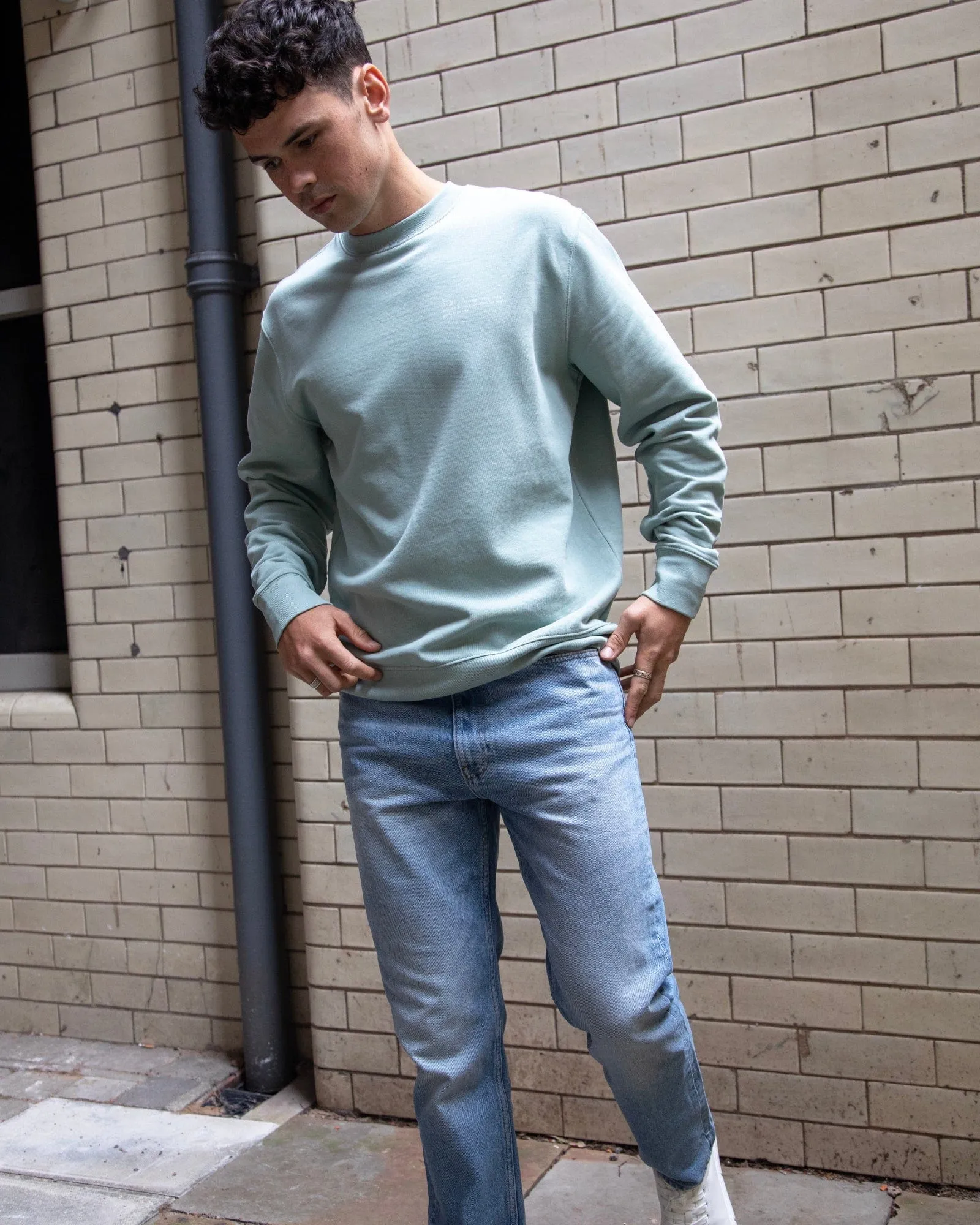Men's Organic Cotton Relaxed Fit Sweatshirt | Aloe Green